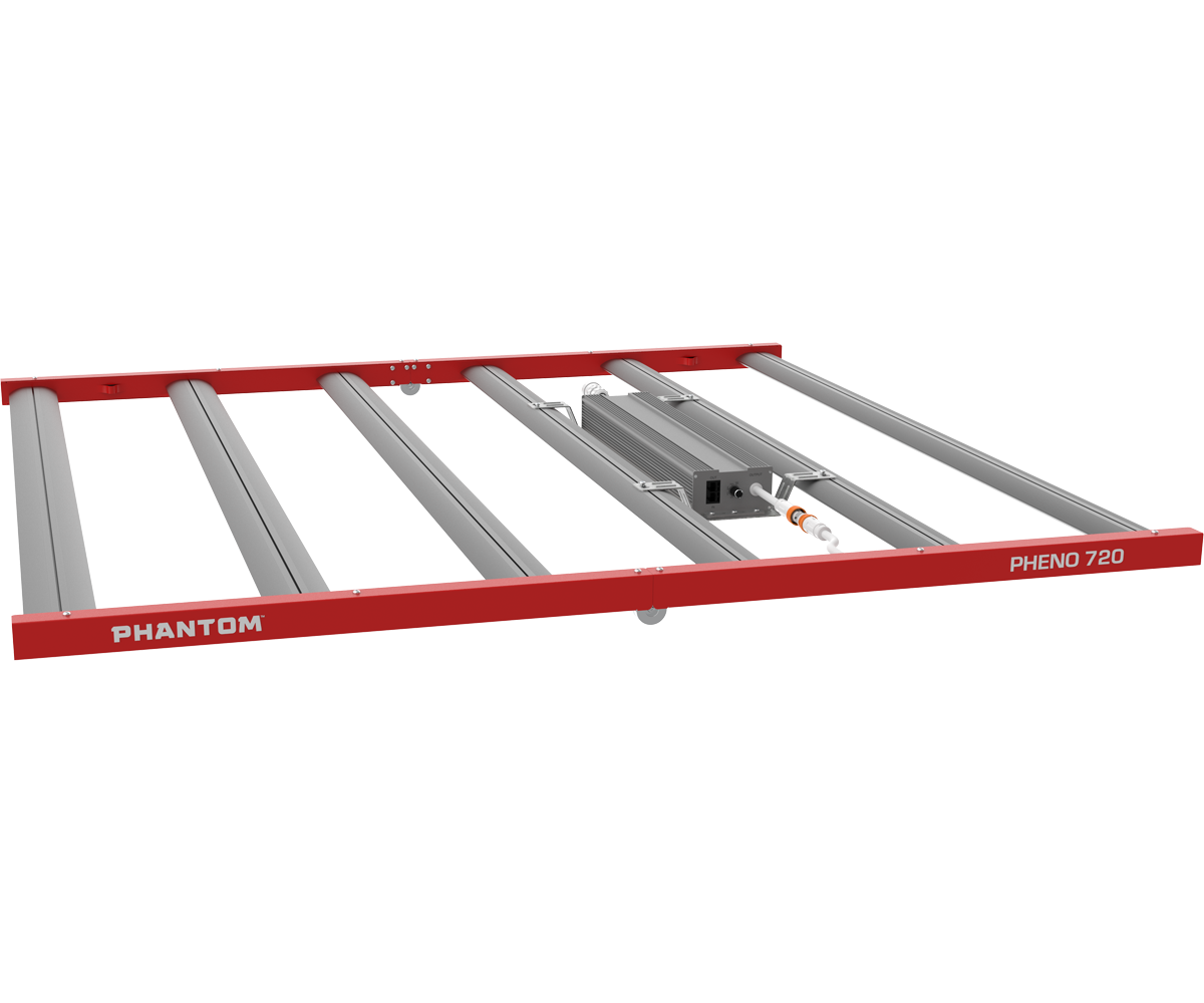 Phantom Pheno - Top Left